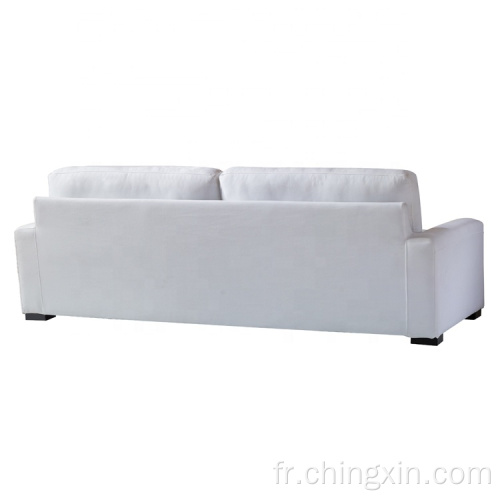 Le sofa blanc moderne de tissu place le sofa de meubles de salon